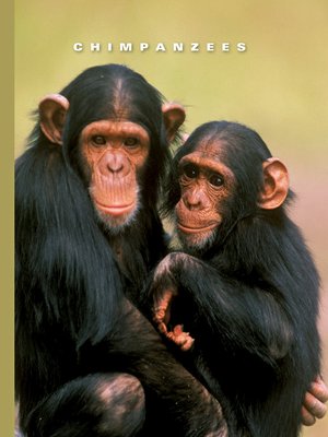cover image of Chimpanzees